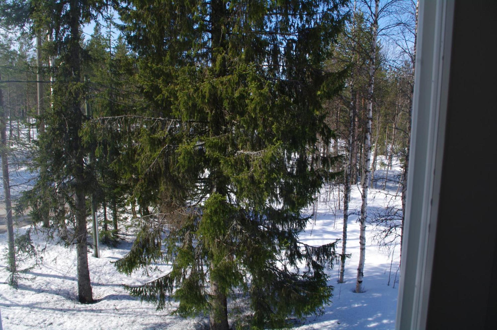 Aneen Loma Vacation And Cottages Posio Kültér fotó